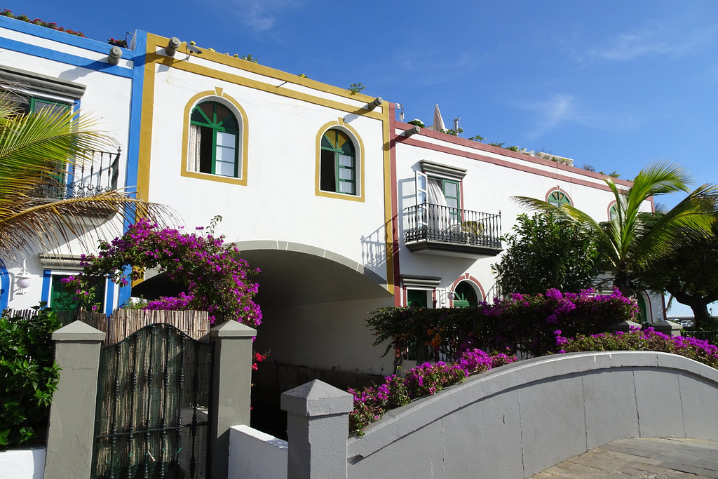 Flowers In Puerto De Mogan