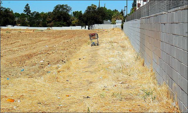 Summer at Sacramento CA