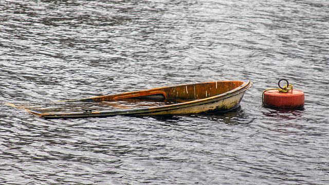 Rowing Boat