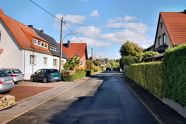 Am Dreisch (Dortmund-Schüren) / 21.10.2023