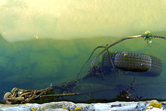 Ropes, Tyre, Water and Light