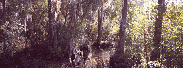 Ray City, Georgia