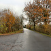 Schwarzer Weg (Bönen-Altenbögge) / 25.11.2017