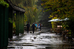 A wet day at the zoo