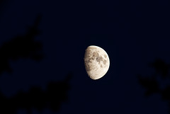 20.07.29 Mond