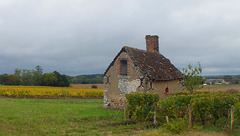 Ancienne cabane dans les vignes dans le Berry
