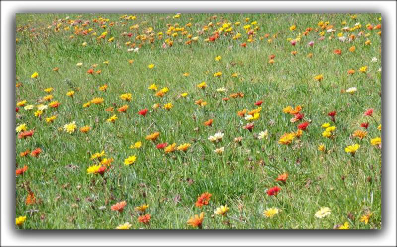 Bonne et agreable Semaine .
