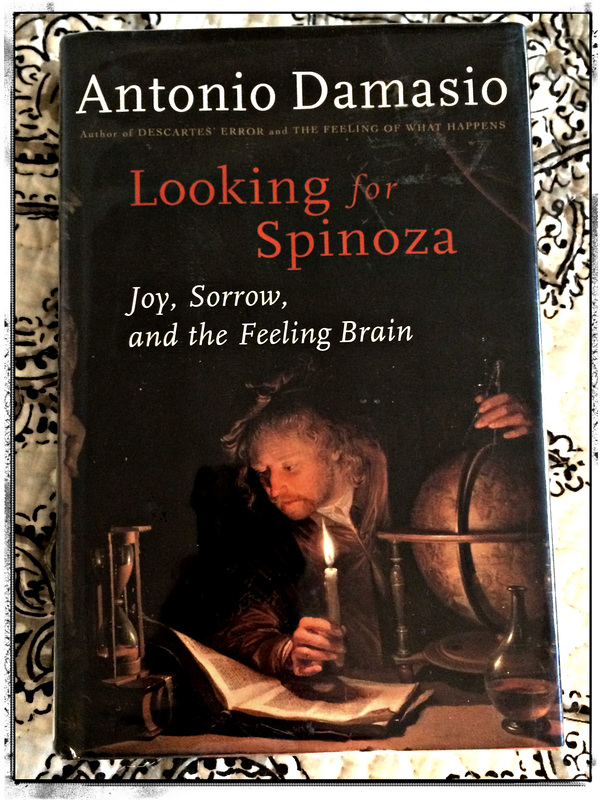 Looking for Spinoza