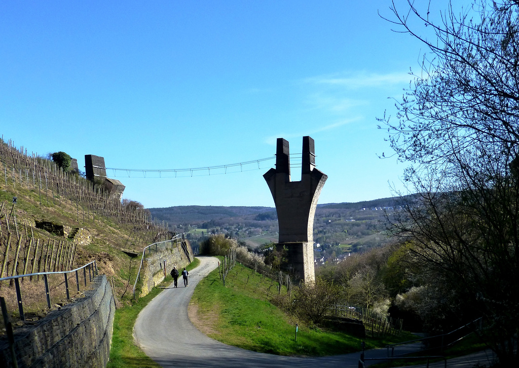 Weinberge und Kletterpark