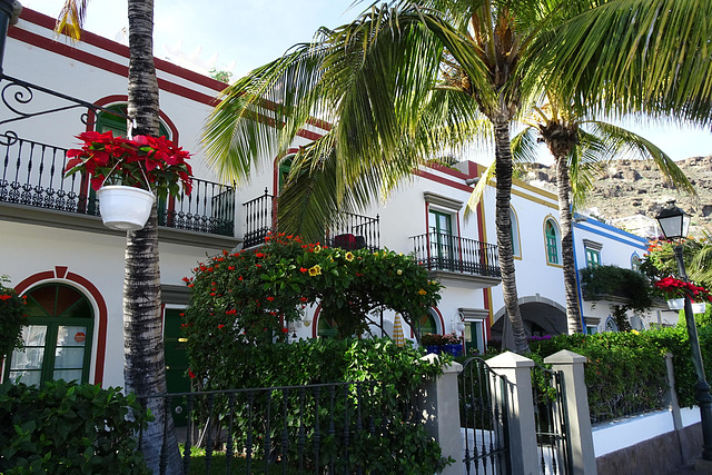 Waterfront Apartments In Puerto De Mogan