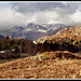 Eltermere and the Langdale Pikes, Cumbria