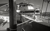 Dock Lines
