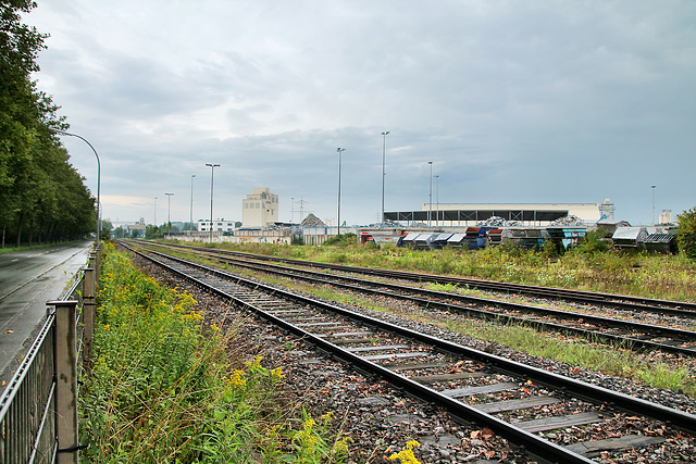 Hafenbahn an der Westfaliastraße (Hafen Dortmund) / 19.08.2023