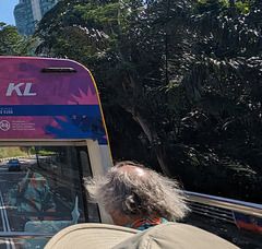 Turista desgrenhado com coco careca / Hirsute au coco dégarni