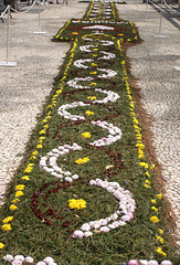 Floral Display