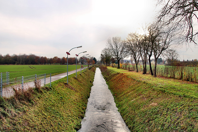 Entwässerungsgraben am Schwarzen Weg (Bönen-Altenbögge) / 25.11.2017