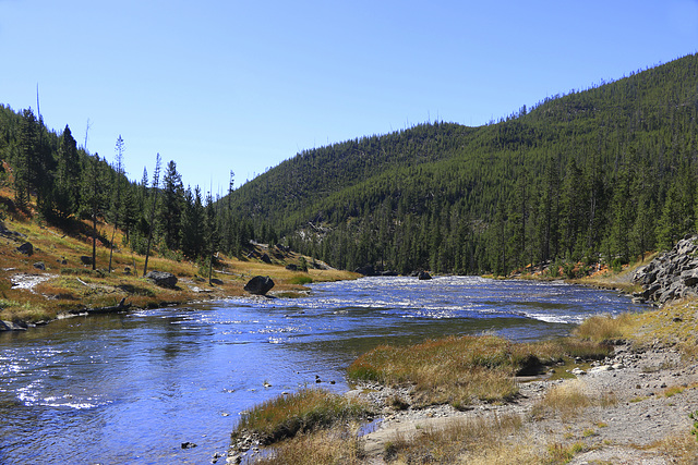 Gibbon River