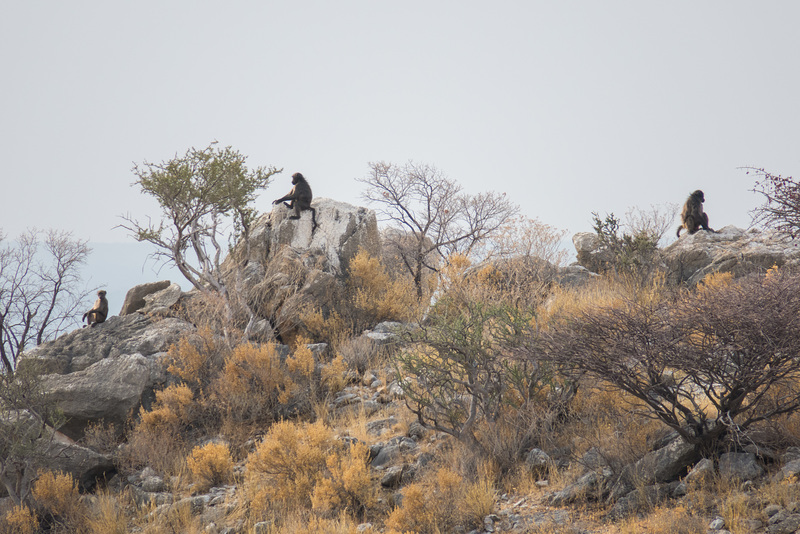 Namibia-0849