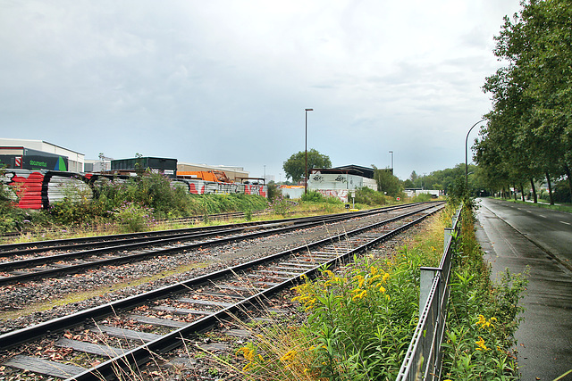 Gleise der Hafenbahn neben der Westfaliastraße (Hafen Dortmund) / 19.08.2023