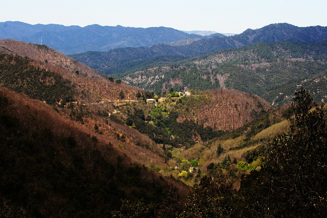 10 Vallée cévenole-Vue du col du MERCOU