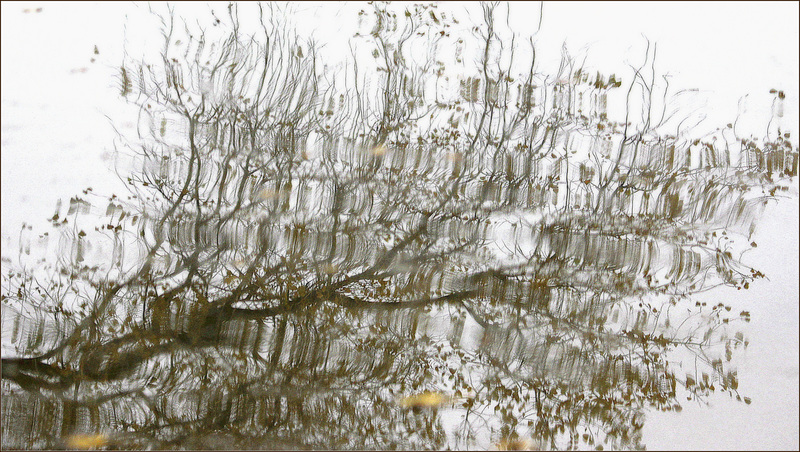 Reflet Zen