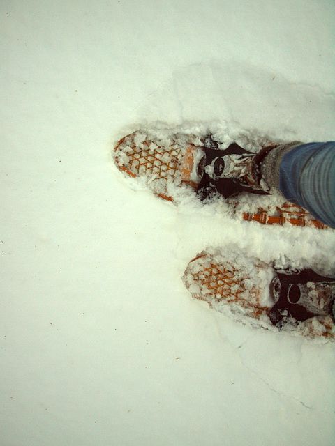 packing down the ski trails