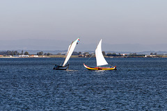 Ria de Aveiro, Portugal