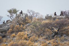 Namibia-0850