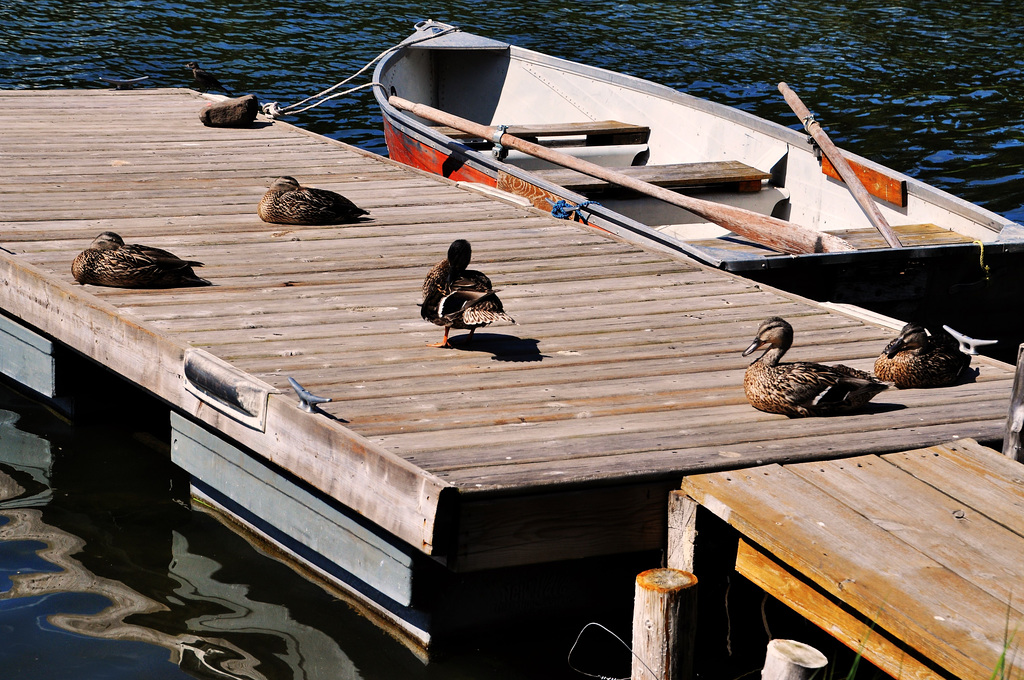 Canada Tour  Fawn Lake Resort 2 xPiP