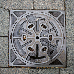 KR601509©IngoKrehl