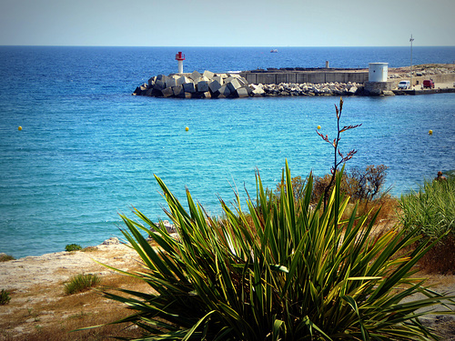 Côte bleue