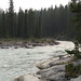 Sunwapta River, Alberta