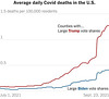 cvd - political victims of covid-19 [3 of 3]