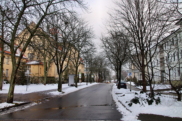 Waldstraße (Hattingen) / 24.01.2021