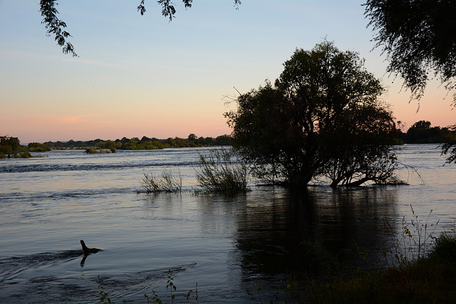 Zambia, Morning on the River of Zambezi