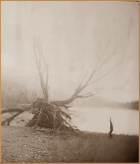 Rattlesnake Lake, 2014