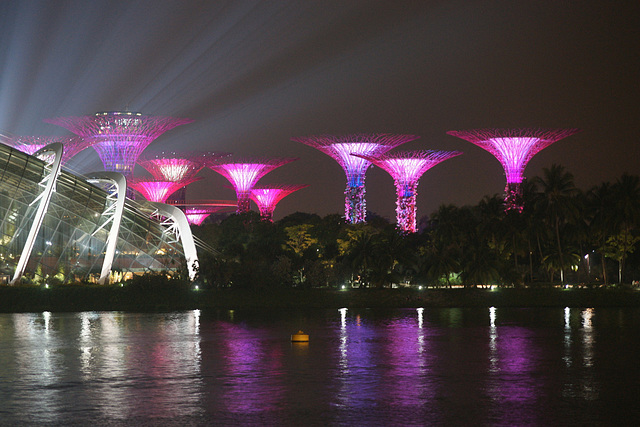 Gardens By The Bay At Night