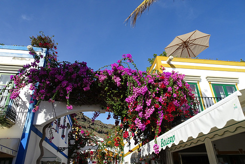 Flowers In Puerto De Mogan