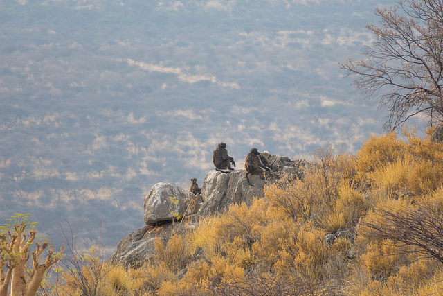 Namibia-0855