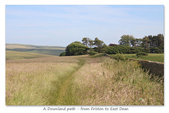 A path from Friston, to East Dean and beyond - 27.6.2016