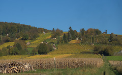 Fränkischer Herbst