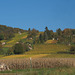 Fränkischer Herbst