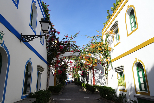 Flowers In Puerto De Mogan