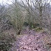 Muddy track leading to Penn Brook