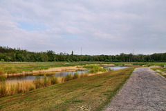 Hochwasserrückhaltebecken in den Emscher-Auen (Castrop-Rauxel-Ickern) / 23.04.2022