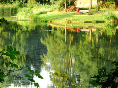 On the pond  (Hbm)