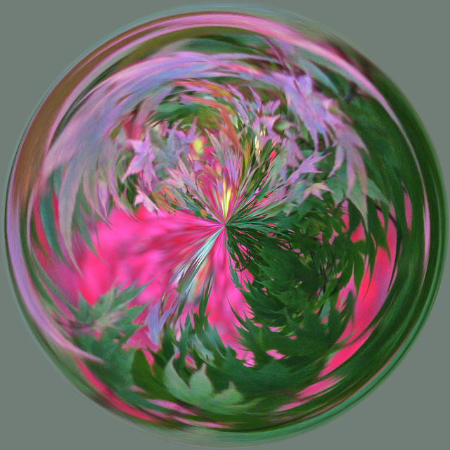 Orb