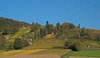 Fränkischer Herbst