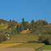 Fränkischer Herbst