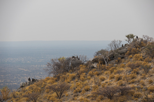 Namibia-0860